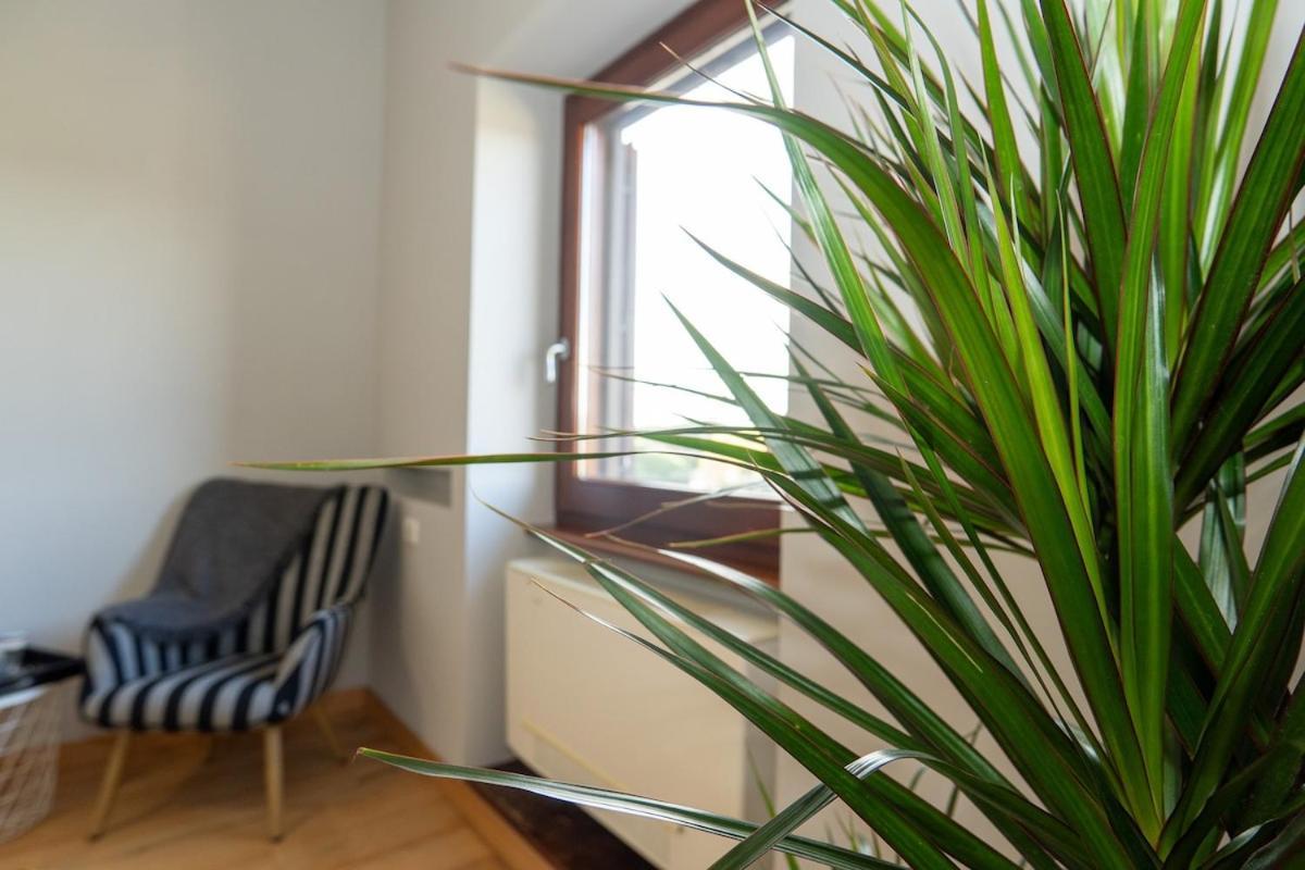 Divine View Apartment Rom